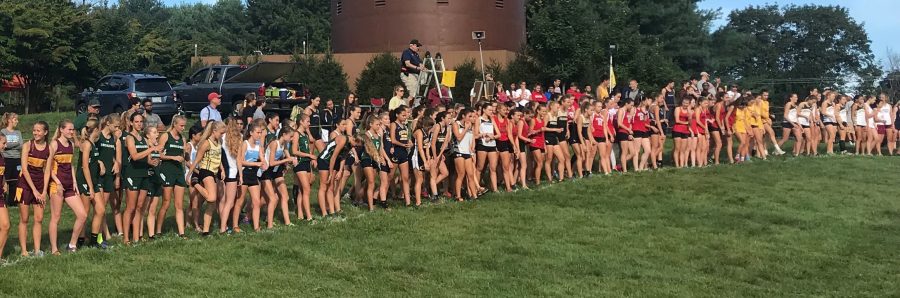 Before+the+gun+goes+off%2C+Freedom+High+Schools+Varsity+A+Girls+Cross+Country+team+lines+up%2C+preparing+for+the+race+ahead.