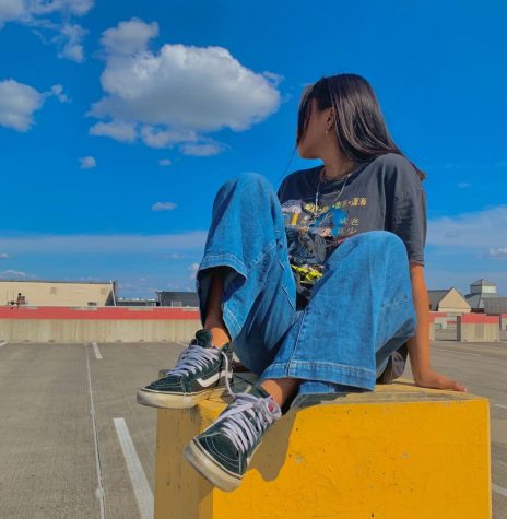 Cover art for Pams single Something Im Feeling.  Photo provided by Bella Pam