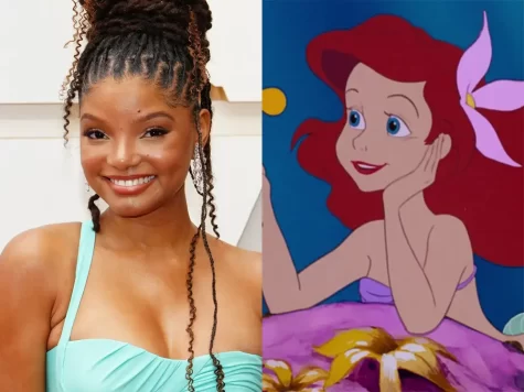 Photo of Halle Bailey provided by Insider.