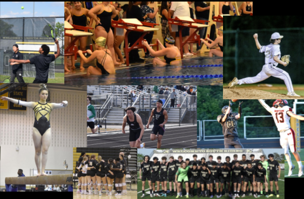 A collage of different sports teams at FHS.